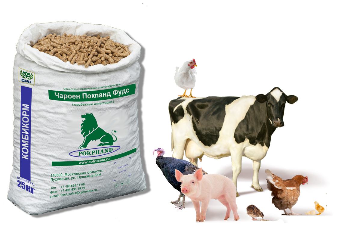 NUMEORUS VARIETIES OF ANIMAL FEED