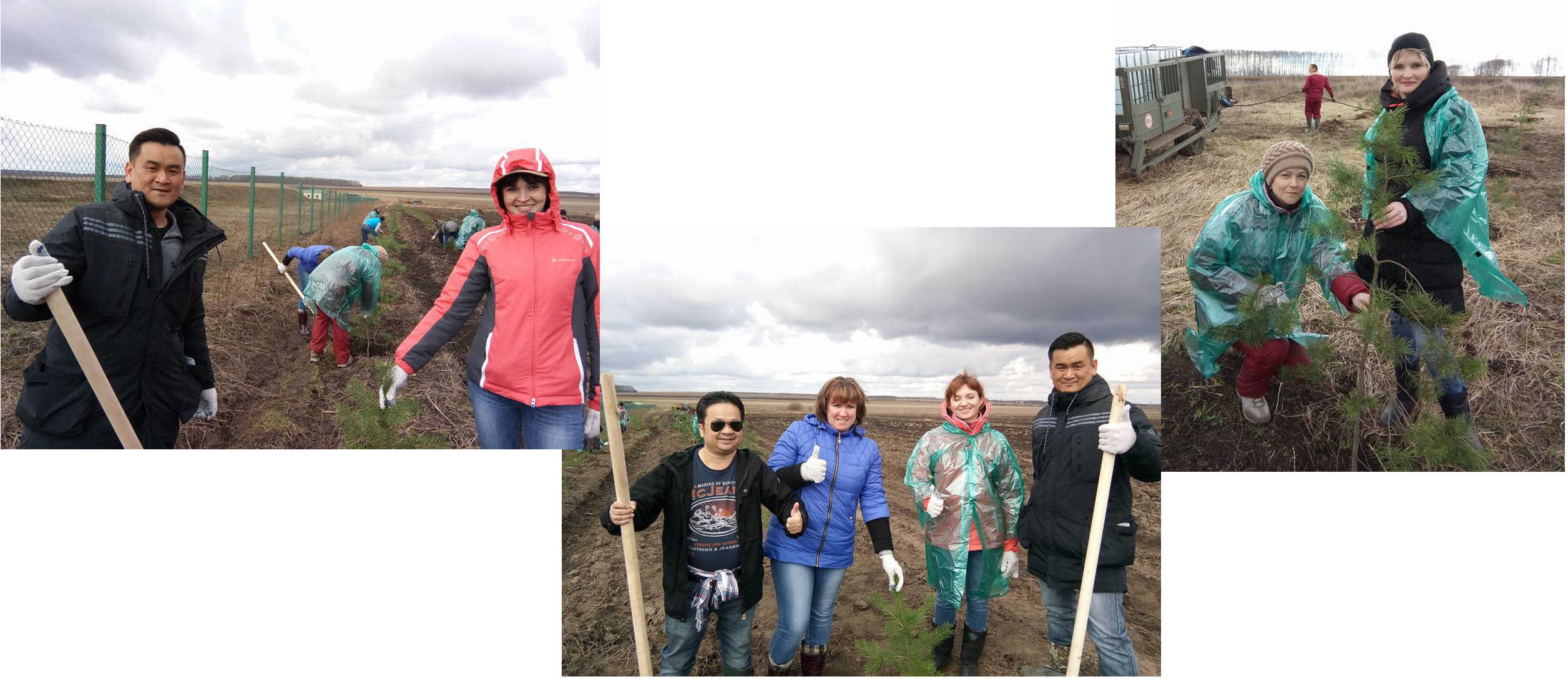 Greenery planting around our swine farms